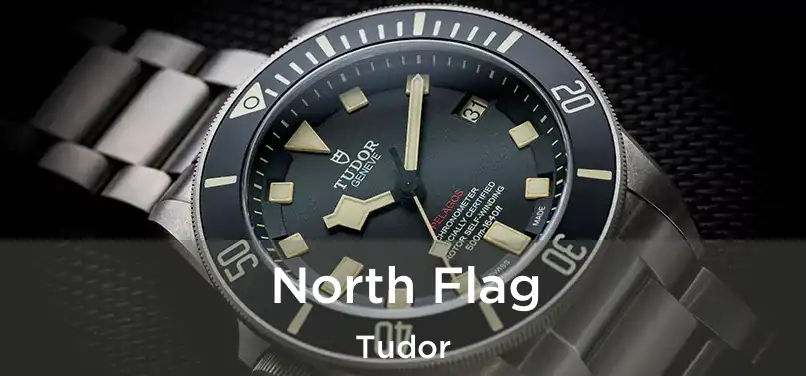  North Flag Tudor